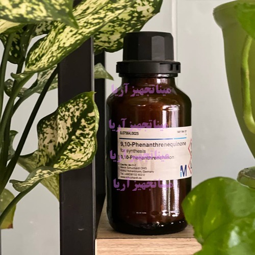 9و10 فنان ترن کوینون